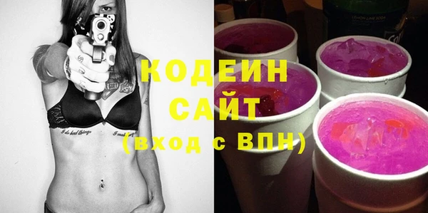 молекула духа Осташков