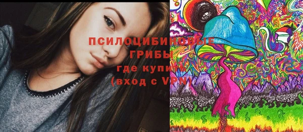 молекула духа Осташков