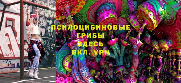 спиды Туринск