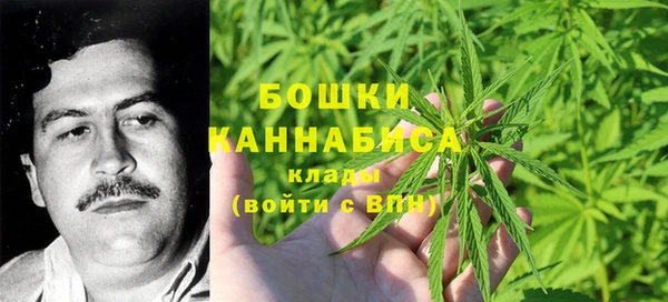 молекула духа Осташков