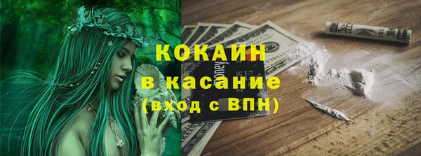 молекула духа Осташков