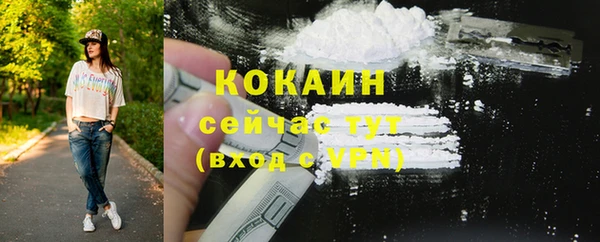 молекула духа Осташков