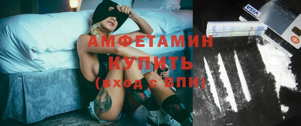 молекула духа Осташков